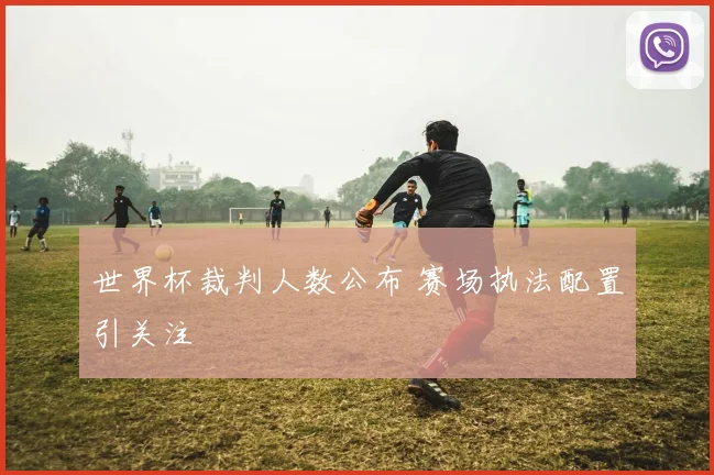 世界杯裁判人数公布 赛场执法配置引关注